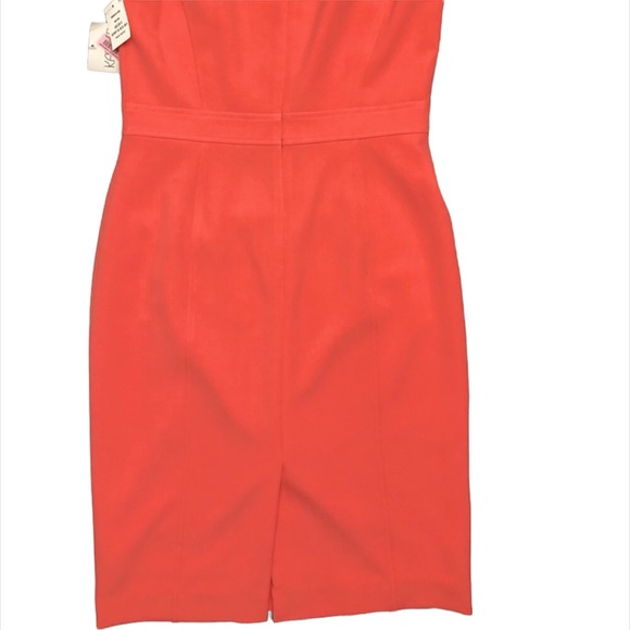 Dillards KASPER Beautiful Nectar/Coral Sheath Dress w/Banded Waist- Full Lining - Picture 3 of 9